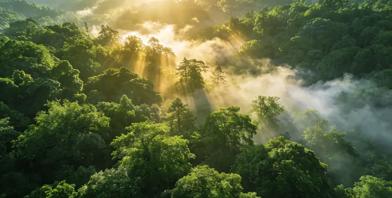 咸阳肺癌靶向120基因检测（组织）图片1