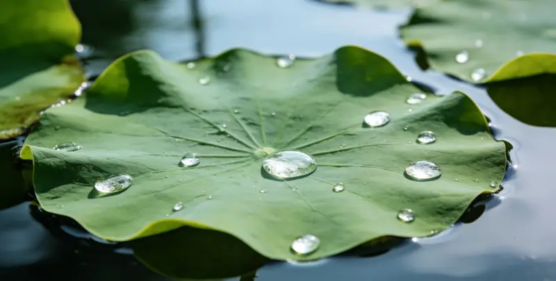 咸阳乳腺癌21基因mRNA表达分析图片1